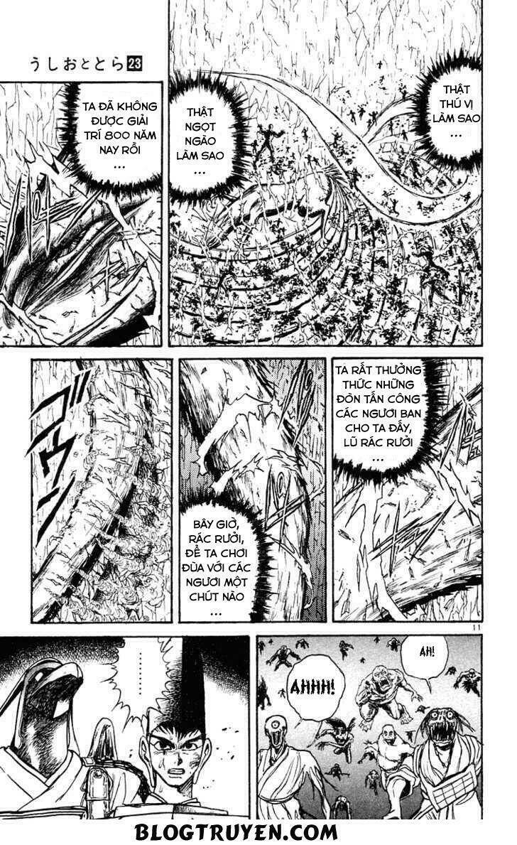 Ushio And Tora Chapter 212 - Trang 2