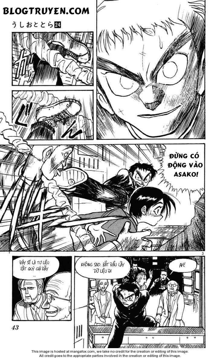 Ushio And Tora Chapter 222 - Trang 2