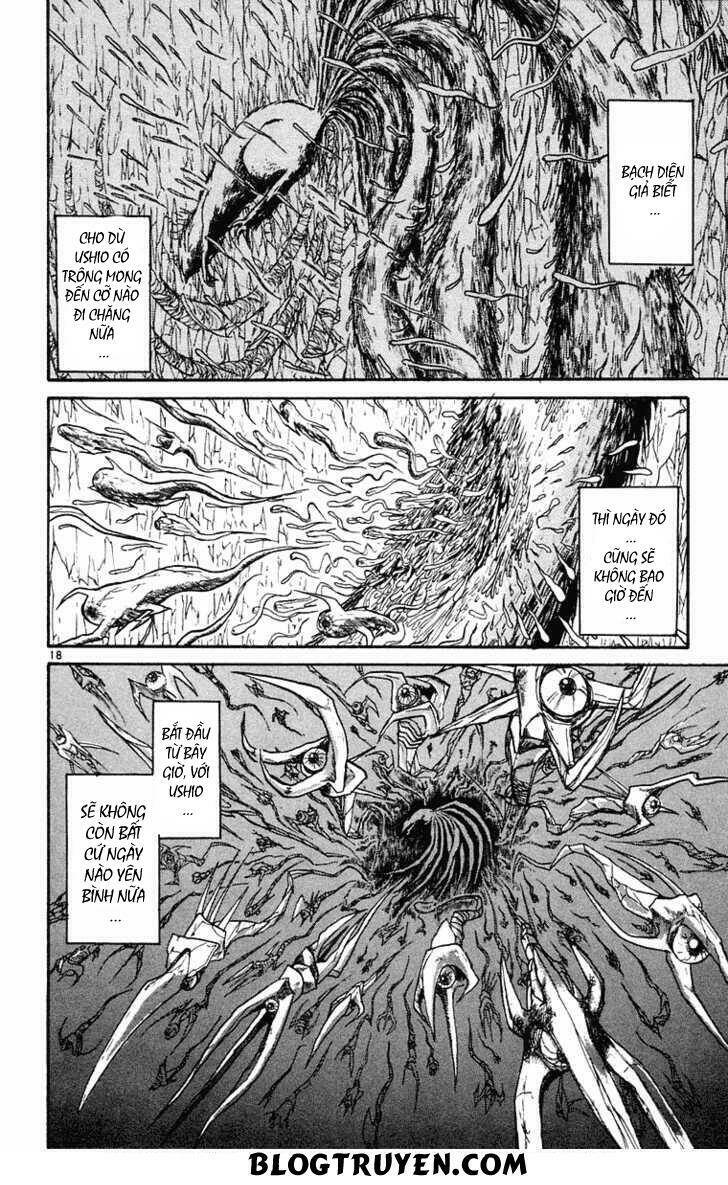 Ushio And Tora Chapter 247 - Trang 2