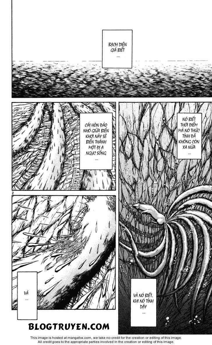 Ushio And Tora Chapter 247 - Trang 2