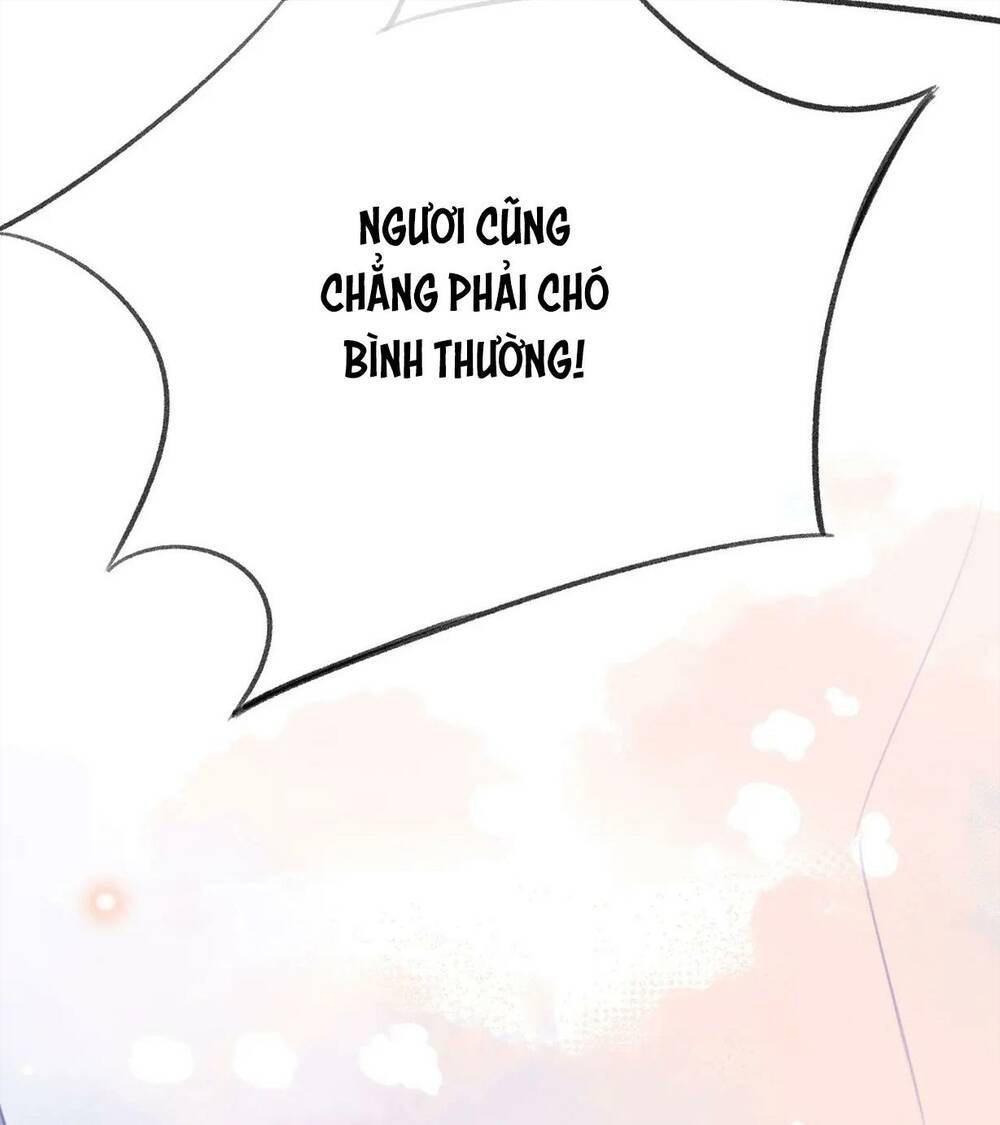 vi phu của ta là long ngạo thiên chapter 32 - Trang 2