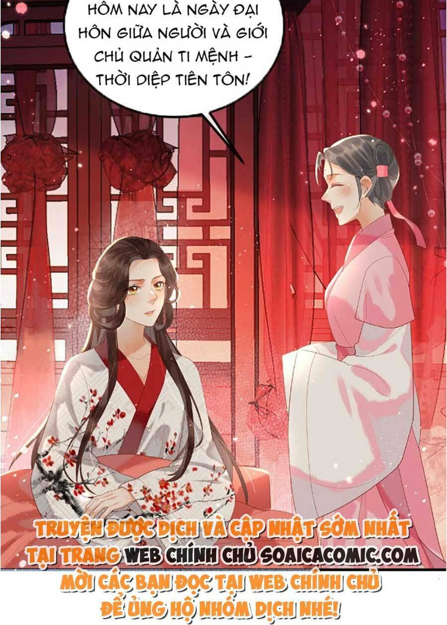 vì sao kẻ thù đều yêu thầm ta chapter 1 - Next chapter 2