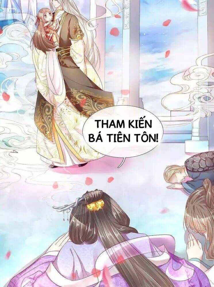 vú em tiên tôn đi ở rể chapter 1 - Next chapter 2