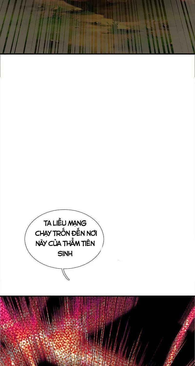 vú em tiên tôn đi ở rể Chapter 359 - Trang 2