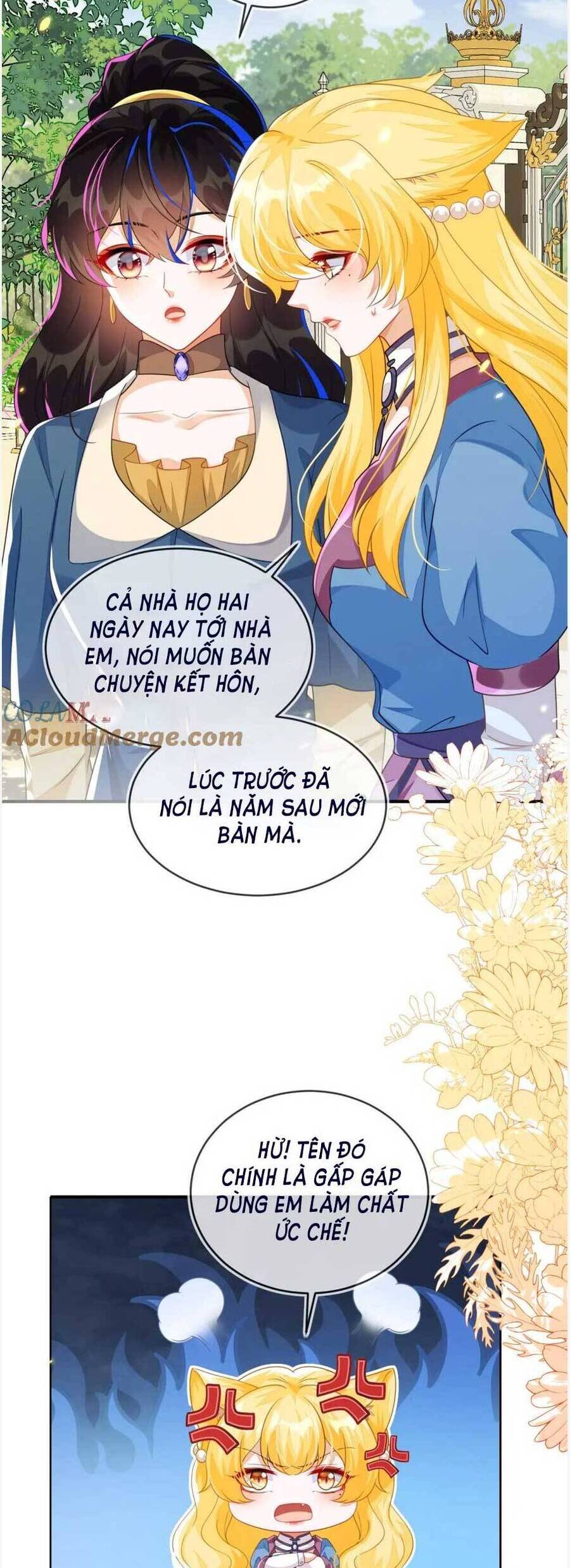 vừa mới huỷ hôn đã bị dã hồ ly lừa kết hôn chapter 41 - Trang 2