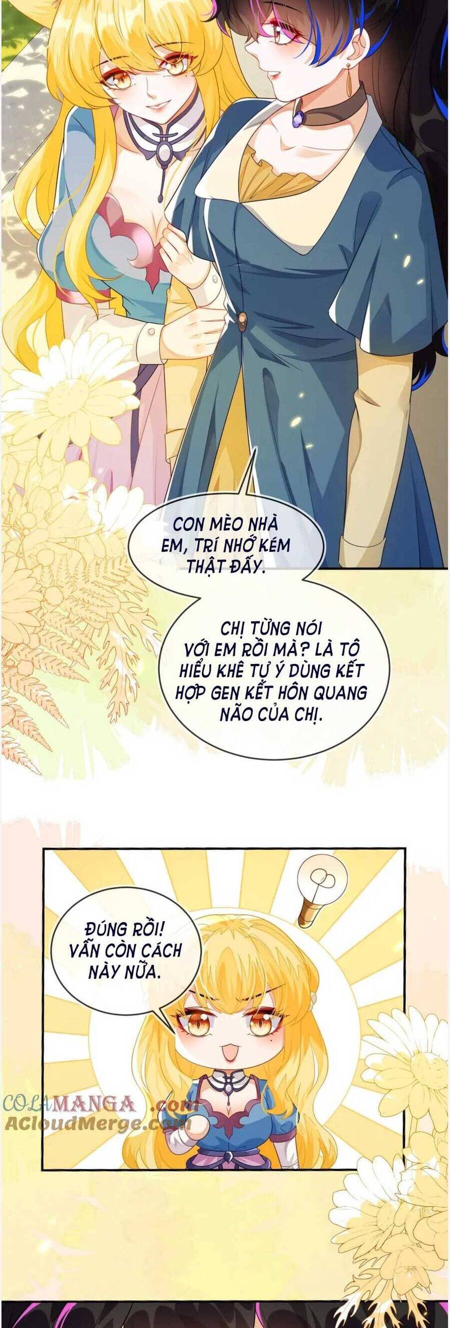 vừa mới huỷ hôn đã bị dã hồ ly lừa kết hôn chapter 41 - Trang 2