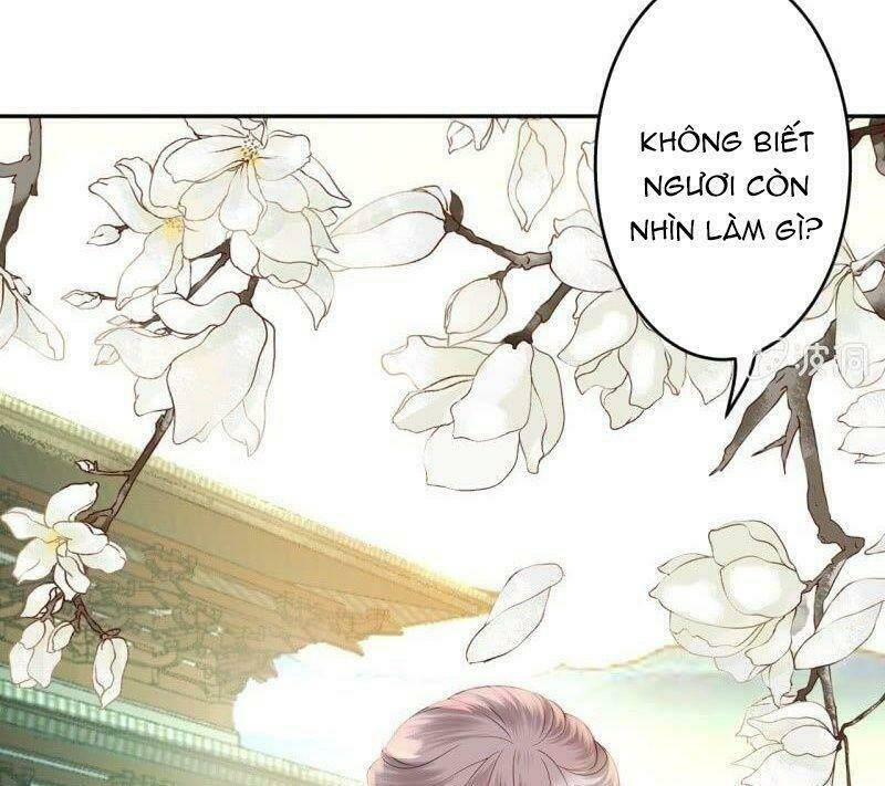 Vương Gia Kiêu Ngạo Quá Khó Cua Chapter 39 - Trang 2