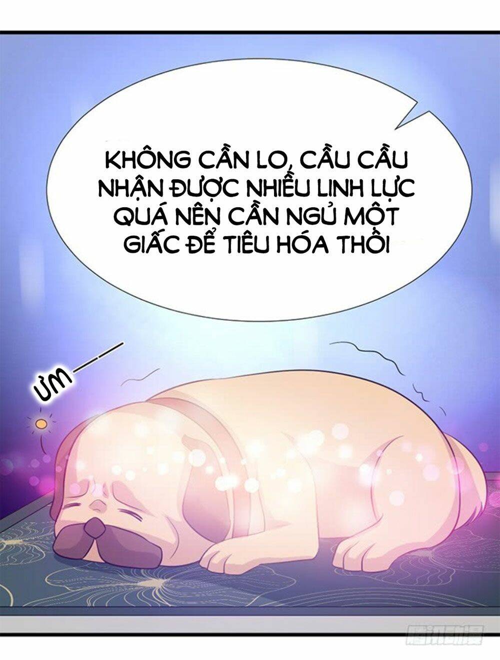 Vương Tử Nhà Tôi Là Nô Bộc Chapter 127 - Next Chapter 128