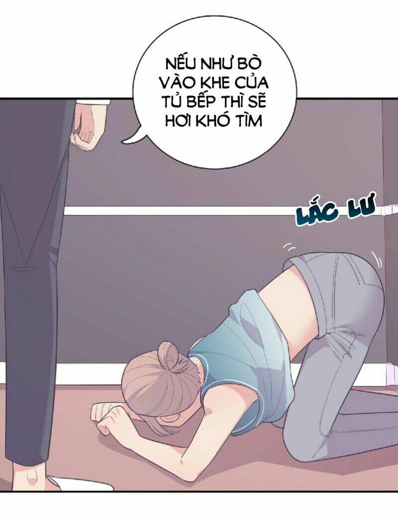 Vương Tử Thành Phố Và Công Chúa Amazon Chapter 72 - Next Chapter 73