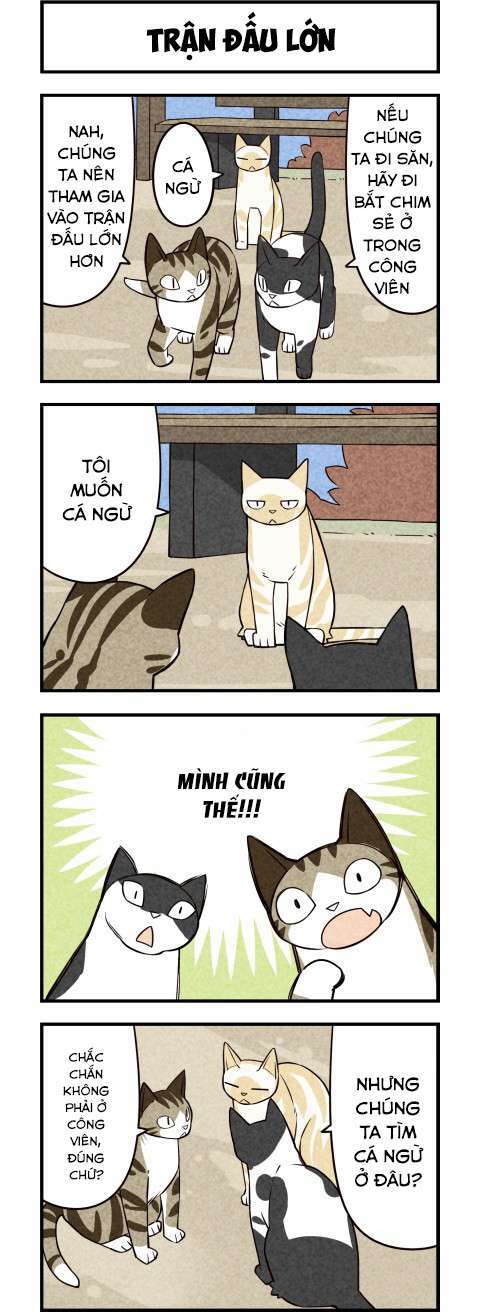 We Are Cat Chapter 16 - Trang 2