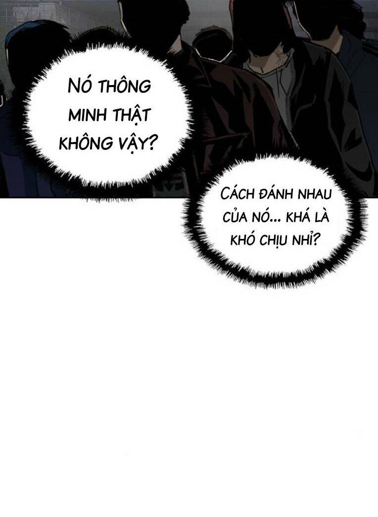 Weak Hero Chapter 252 - Trang 2