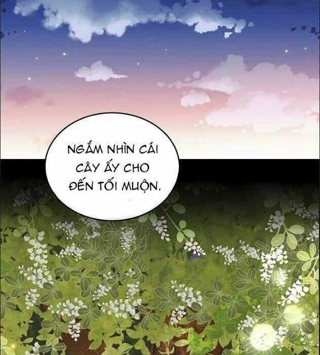 Wendy , Cô Gái Bán Hoa Chapter 27 - Trang 2