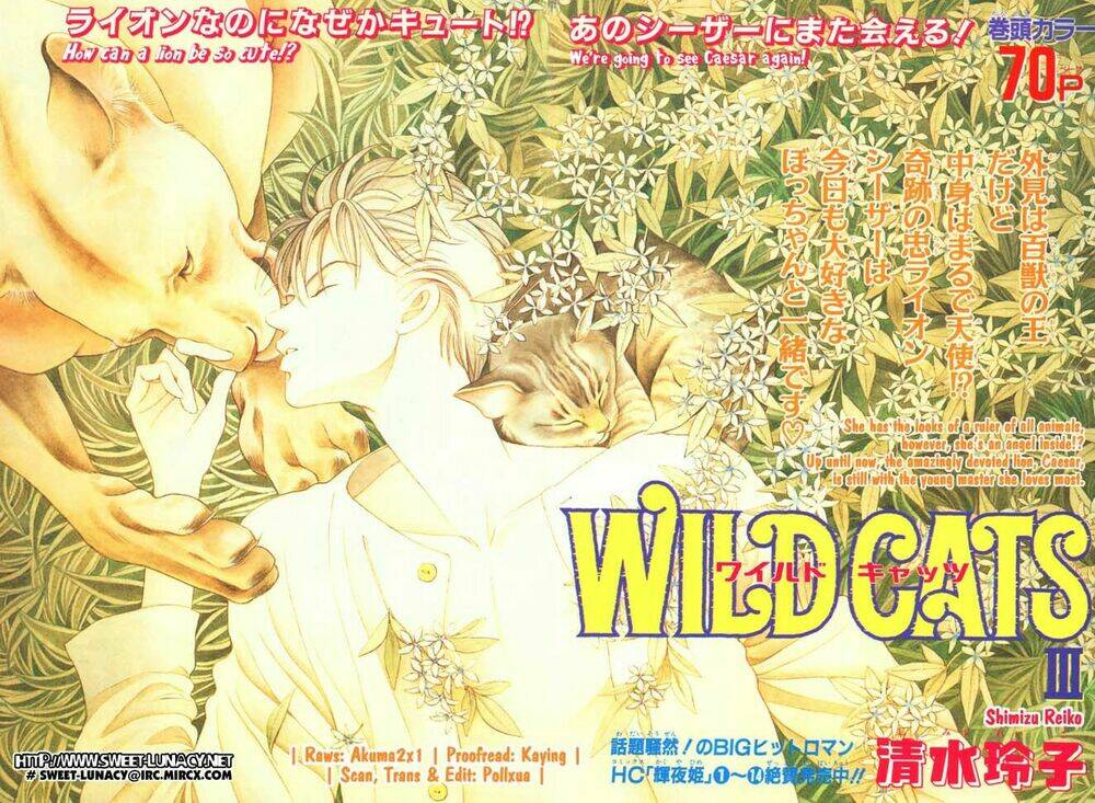 Wild Cats Chapter 1 - Next Chapter 2