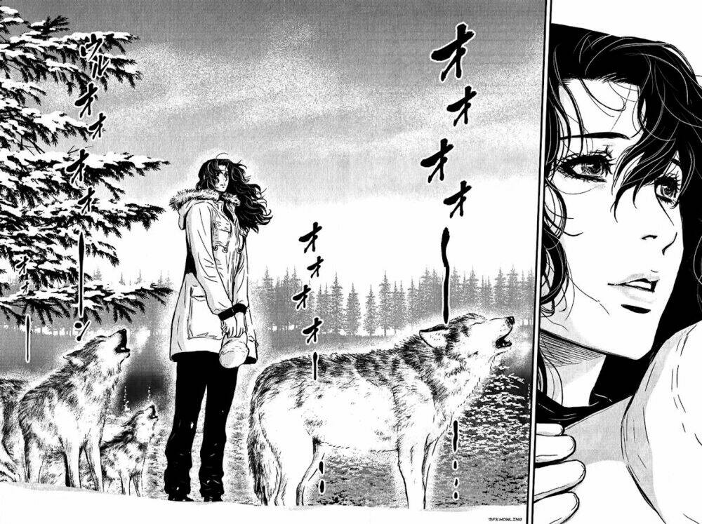 Wolf Guy - Wolfen Crest Chapter 117 - Trang 2