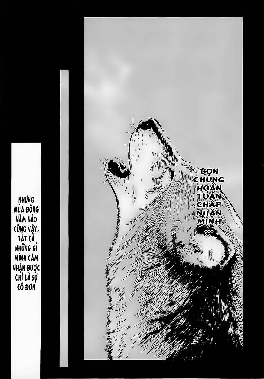 Wolf Guy - Wolfen Crest Chapter 41 - Next Chapter 42