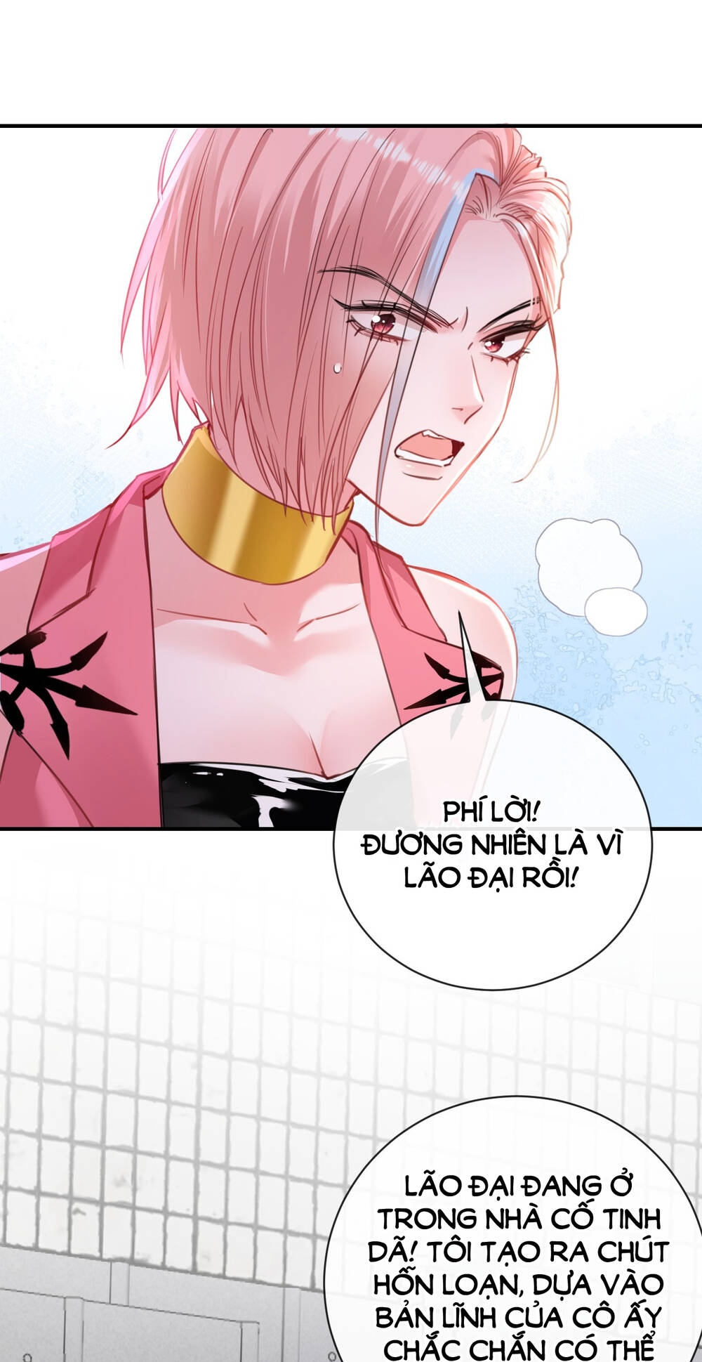 xin lỗi, tôi cũng là lão đại chapter 4 - Next chapter 5.1