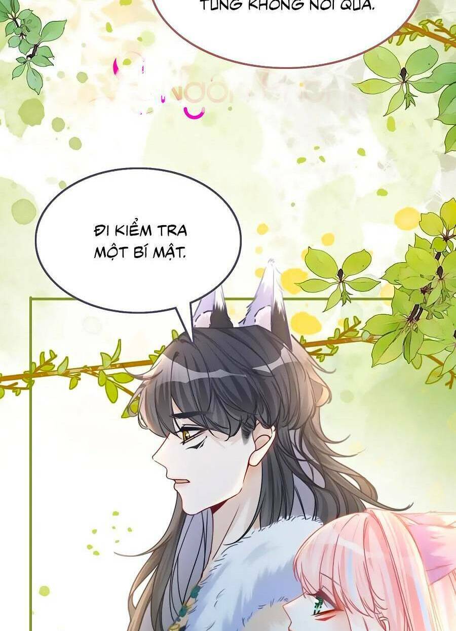 Xuyên Nhanh Nữ Phụ Bình Tĩnh Chút Chapter 164 - Trang 2