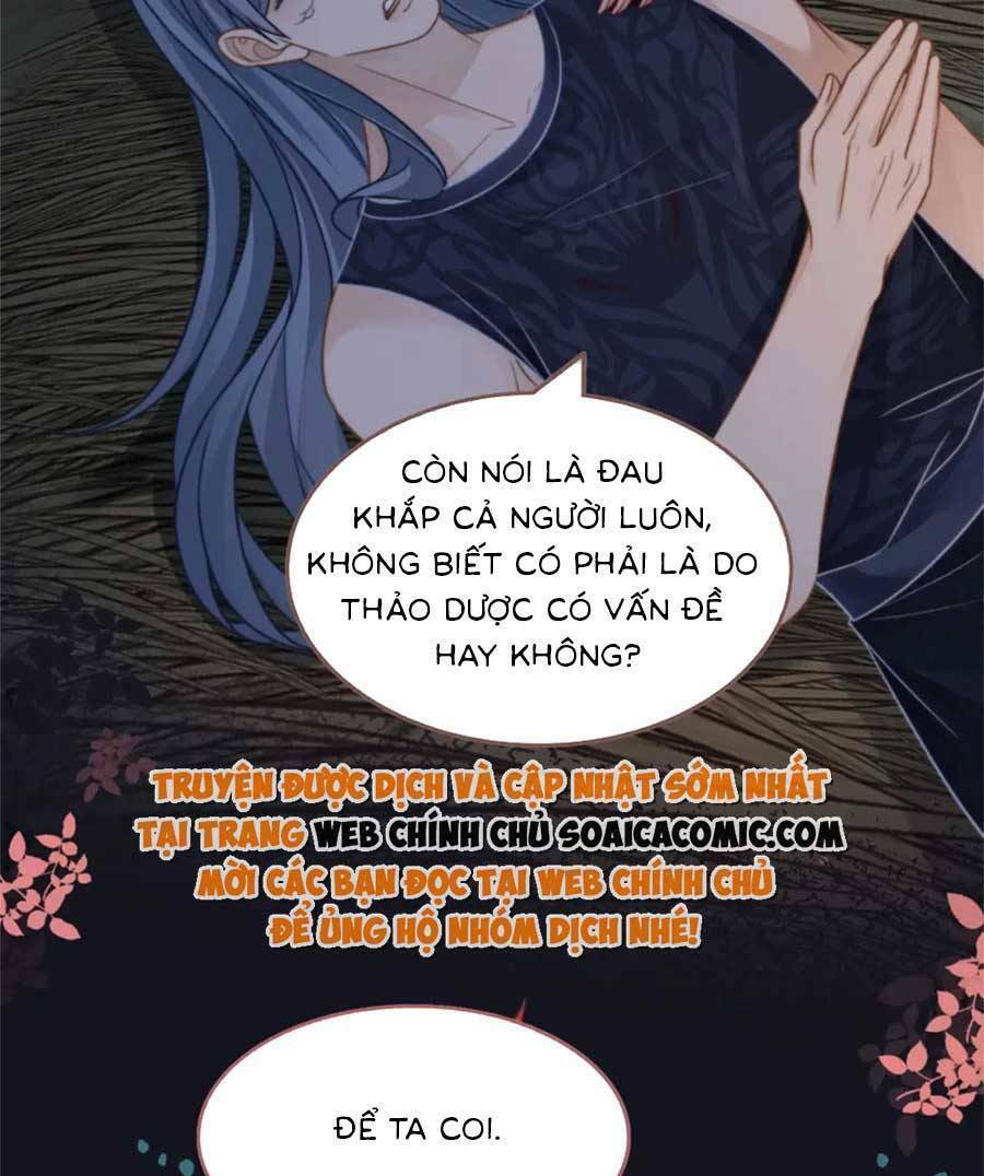 Xuyên Nhanh Nữ Phụ Bình Tĩnh Chút Chapter 166 - Next Chapter 167.1