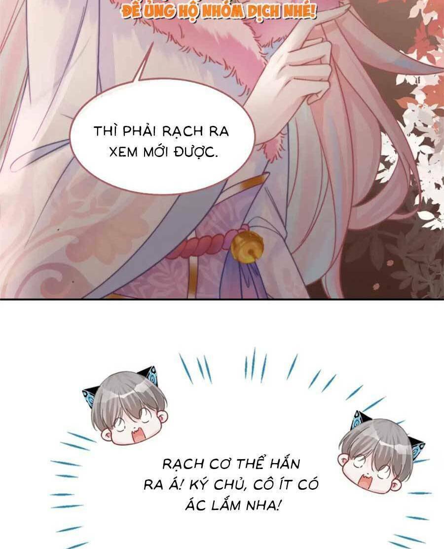 Xuyên Nhanh Nữ Phụ Bình Tĩnh Chút Chapter 166 - Next Chapter 167.1