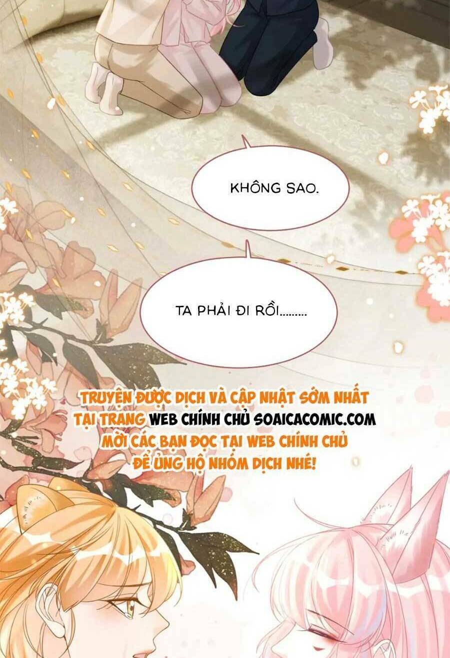 Xuyên Nhanh Nữ Phụ Bình Tĩnh Chút Chapter 177 - Trang 2