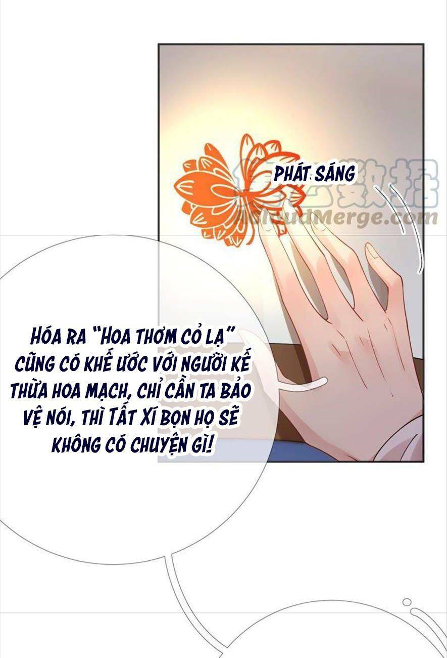 xuyên về cổ đại làm nữ phụ vô dụng chapter 62 - Trang 2