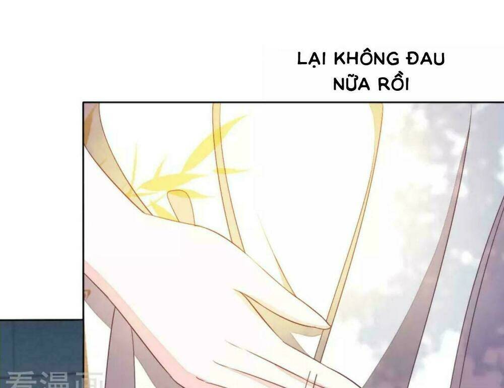 Xuyên Về Cổ Đại Làm Quốc Bảo Chapter 15 - Next Chapter 16