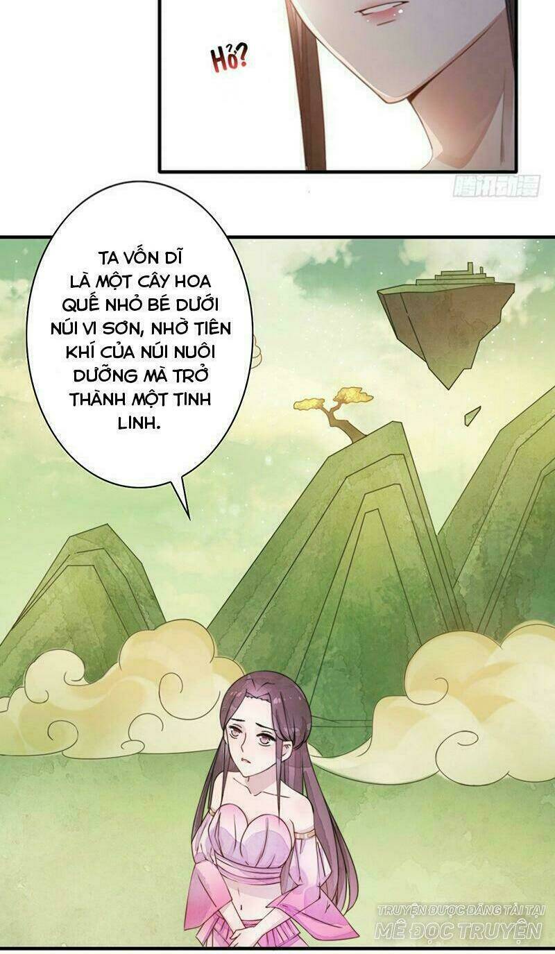 Yêu Tiên Ca Chapter 11 - Trang 2