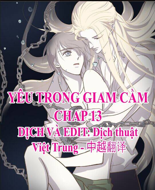 Yêu Trong Giam Cầm Chapter 13 - Trang 2